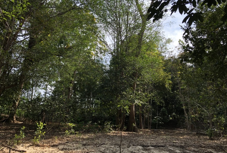 น้ำตกอ่างทอง 3.jpg