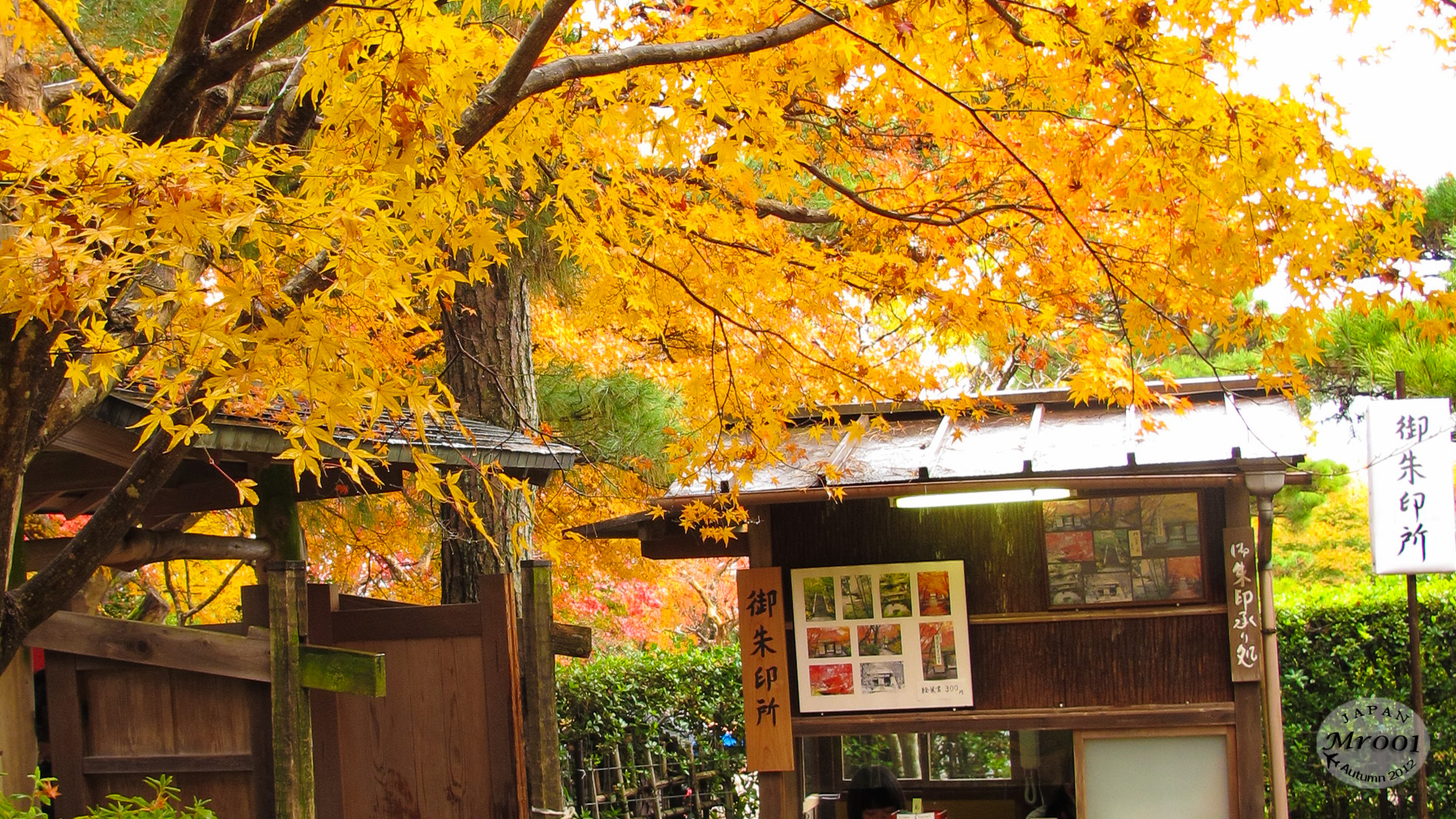 Arashiyama-12.jpg