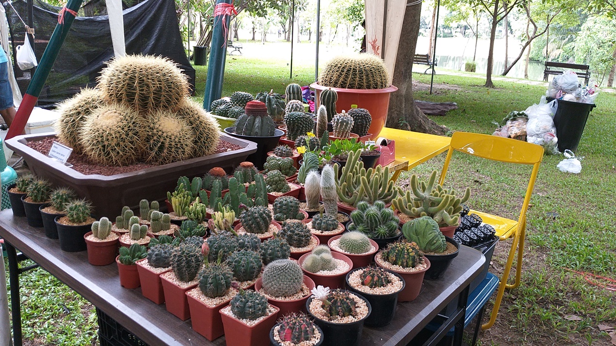20180810_082132.jpg
